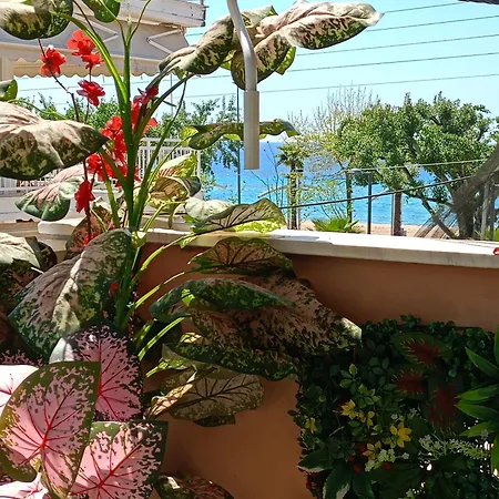 Appartement Nik Seaview Balcony Steps From *