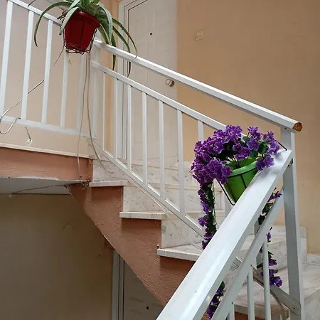 Nik Seaview Balcony Steps From *